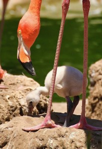 5945419683_542f3c351d_b