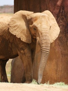 5947387893_a11f32fa2c_b