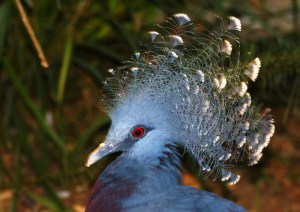 6051768139_3ab3ce90c1_b