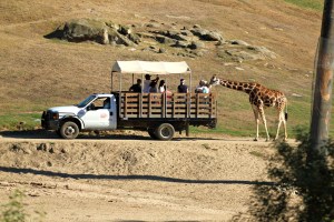 6293936116_919f3a2bdc_b