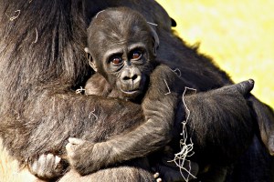 6349105063_abe31a548a_b