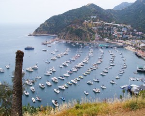 Catalina Avolon from above