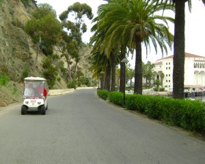 Catalina Golf cart