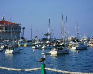 Catalina Harbor