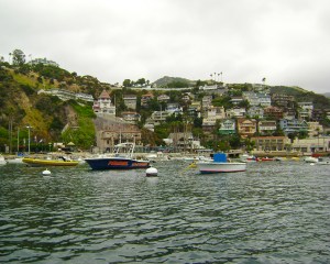 Catalina-View from Glass bottom boat