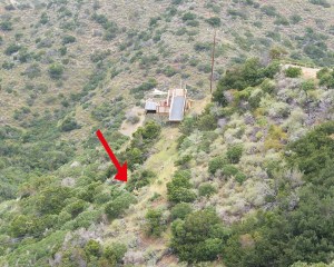 Catalina Ziplining Person and arrow