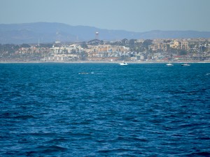 WW Shows close to beach