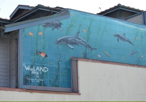 Wyland wall