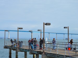 Dock--Dock left side