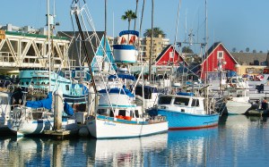 Oceanside harbor fishing