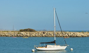 Del Mar lone sailboat