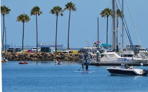 Long Beach Harbor ship in background