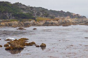 17 mile drive 2