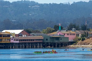 Monterey Kayakers
