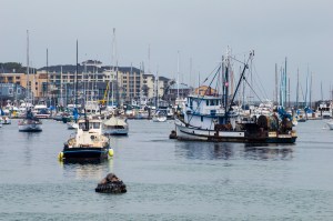 Monterey looking south 2