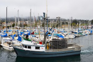 Monterey Wharf small