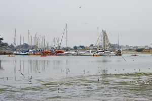 Moss landing