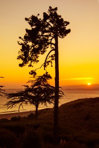 Sunset end of wedding