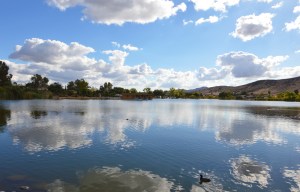 Looking far towards the flaoting cabins