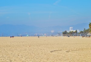 VB-Santa Monica pier in the background