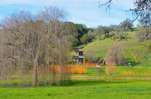 FB- HOuse with Orange bushes
