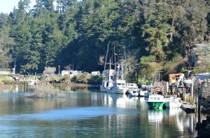 FB-Noyo looking down river