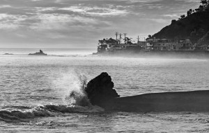 Malibu black and white 1