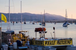 Morro-Looking south in harbor