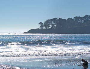 Cambria coast near pier