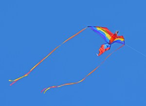 Redondo--Lone Kite in air