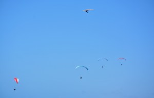 LJ Multiple parsailers