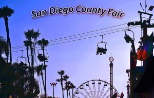 Overhead ride for WP With logo