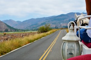 LAntern on side of carriage
