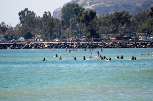 Doheny surfing in the distance
