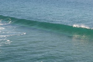 Wave clear Oceanside 900