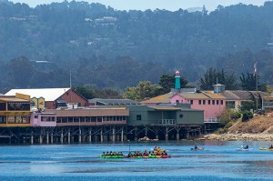 monterey-kayakers 800