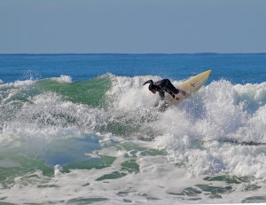 Arlo Surfing 800