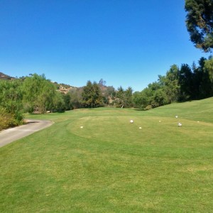 the-fairway