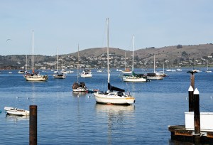 boats-on-bay