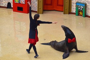 dancing-with-the-stars