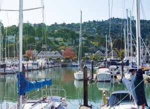 sausalito-boats-by-red-tree