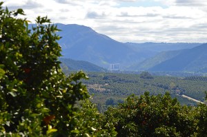 harrahs-in-teh-distance